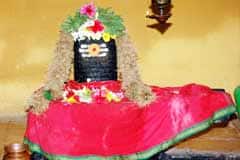 Arulmigu MiAdhjhi Sundareshwarar Thirukoyil photo 6