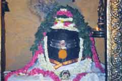 Arulmigu MiAdhjhi Sundareshwarar Thirukoyil photo 7