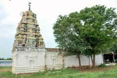 Arulmigu Chennakesava Perumal Temple photo 3