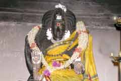 Arulmigu Bhiranava Viyaghrabhurisvarar Thirukoyil photo 2