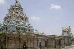 Arulmigu Bhiranava Viyaghrabhurisvarar Thirukoyil photo 4