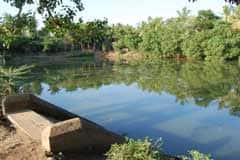 Arulmigu Bhiranava Viyaghrabhurisvarar Thirukoyil photo 8