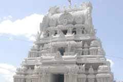 Arulmigu Ulaghalandha Perumal Thirukoyil photo 4