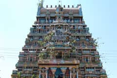 Arulmigu Jhubhramaniya Swamy Thirukoyil photo 7