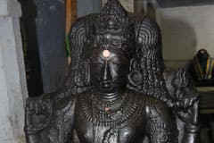 Arulmigu Naghanadhajhami Thirukoyil photo 8