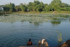 Arulmigu Varadarajap Perumal Thirukoyil photo 4