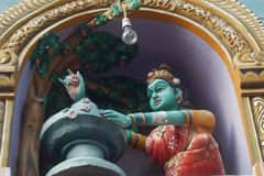Arulmigu Marghgha Jhaghayesvarar Thirukoyil photo 8