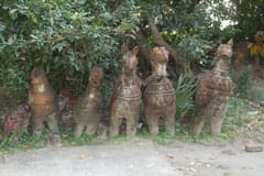 Arulmigu Ghiliyalamma Thirukoyil photo 5