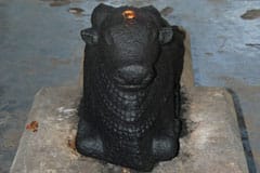 Arulmigu Ghiliyalamma Thirukoyil photo 6