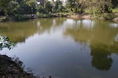 Arulmigu Ghiliyalamma Thirukoyil photo 8