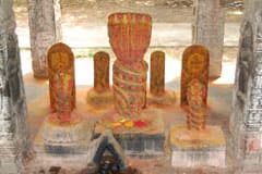 Arulmigu Kailasanathar Thirukoyil photo 5