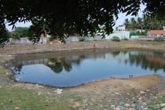 Arulmigu Kailasanathar Thirukoyil photo 8