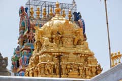 Arulmigu AdhighejhavabhRumal Thirukoyil photo 8