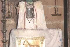 Arulmigu Amaranandhisvarar Thirukoyil photo 5