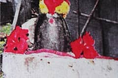 Arulmigu Kailasanathar Thirukoyil photo 1