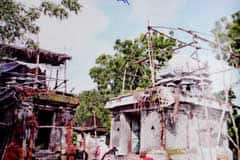 Arulmigu Kailasanathar Thirukoyil photo 3