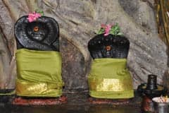 Arulmigu AAimalai AyyaAr Thirukoyil photo 6