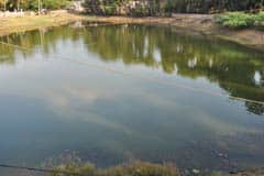 Arulmigu AAimalai AyyaAr Thirukoyil photo 7