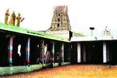 Arulmigu Kailasanathar Thirukoyil photo 6
