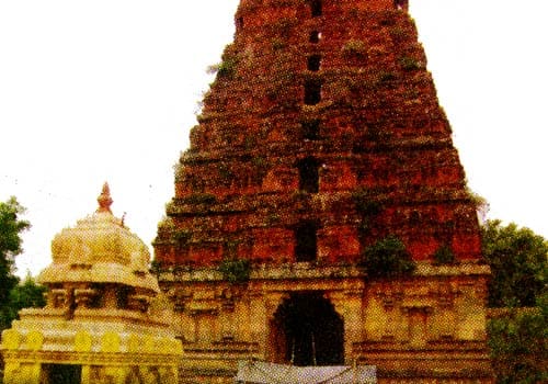 Arulmigu Venughobhalajhami Thirukoyil
