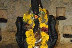 Arulmigu Adhimulesvarar Thirukoyil photo 2