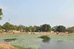 Arulmigu Adhimulesvarar Thirukoyil photo 4