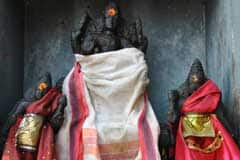 Arulmigu Adhimulesvarar Thirukoyil photo 7