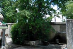 Arulmigu Jhomesvarar Thirukoyil photo 6