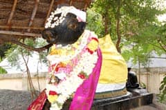 Arulmigu Jhidhambharejhuvarar Thirukoyil photo 6