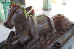 Arulmigu Ghurunadhar Koil photo 6