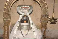 Arulmigu Naghanadha Swamy Thirukoyil photo 5