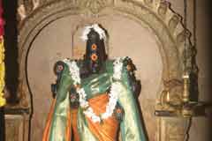 Arulmigu Naghanadha Swamy Thirukoyil photo 6