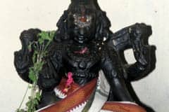 Arulmigu Bhadha Vinayagar Thirukoyil photo 5