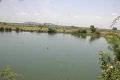 Arulmigu Dharmisvarar Thirukoyil photo 7