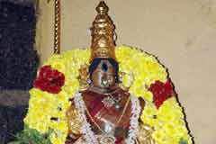 Arulmigu Vaighundhavajha Perumal Thirukoyil photo 8