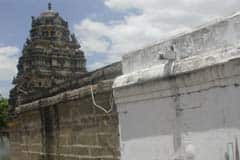 Arulmigu Azhaghiya JhinghabhRumal Thirukoyil photo 6