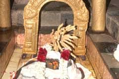 Arulmigu Navaladhi Gharubhbhannajhami Thirukoyil photo 1