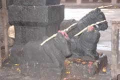 Arulmigu Navaladhi Gharubhbhannajhami Thirukoyil photo 2