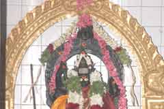 Arulmigu Navaladhi Gharubhbhannajhami Thirukoyil photo 7