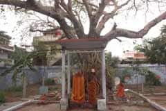 Arulmigu Prasanna Varadarajap Perumal Thirukoyil photo 3