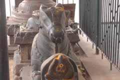 Arulmigu Immaiyilum NaMaidharuvar Thirukoyil photo 2