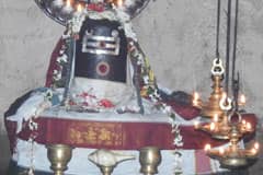 Arulmigu Jhevuraya AyyaAr photo 4