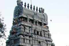 Arulmigu Jhevuraya AyyaAr photo 5