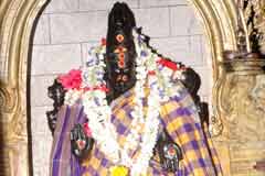 Arulmigu Visvanadhasvami Thirukoyil photo 1