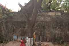 Arulmigu Visvanadhasvami Thirukoyil photo 3