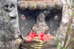 Arulmigu Narajhinghabh Perumal Thirukoyil photo 8