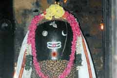Arulmigu VLlisvarar Thirukoyil photo 5