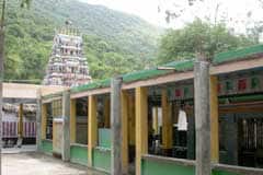 Arulmigu Vallimalai Murugan Thirukoyil photo 8