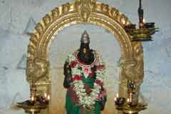 Arulmigu Ghajhi Vijhuvanadha Thirukoyil photo 1