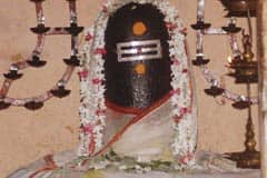 Arulmigu BhDhdharanyesvarar Thirukoyil photo 1
